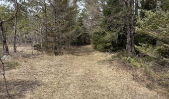 5280 Cathro Rd, Alpena, MI 49707