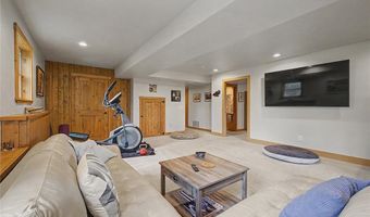62 Lazy Rex Rd, Alma, CO 80440