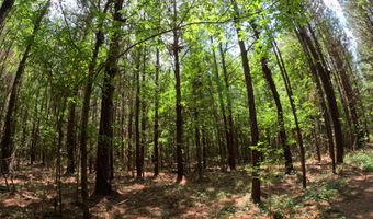 Christian Hts Road, Braxton, MS 39044