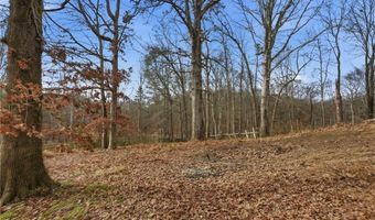 1780 Wynn Lake Rd, Alto, GA 30510