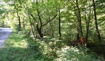 TBA BETTYS BRANCH RD X, Arvonia, VA 23004