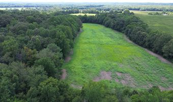 Lower Big Sandy Road, Big Sandy, TN 38221
