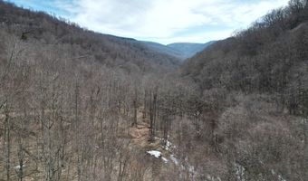 0 TBD Elleber Sods Rd, Bartow, WV 24920