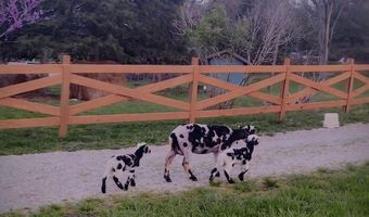 10463 Farm Road 1182, Aurora, MO 65605