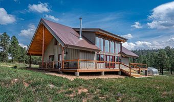 115 Blue Deer Ranch Road B-109, Buena Vista, NM 87712