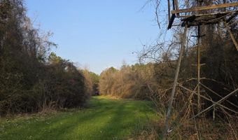 U.S. Highway 51, Bogue Chitto, MS 39629