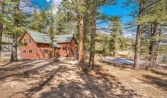 251 Haugen Slide Rd, Allenspark, CO 80510