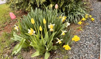 1045 Broadway, Bangor, ME 04401