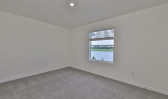 233 MANGROVE SHADE Cir, Apollo Beach, FL 33572