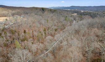 Fox Hollow Lane, Andersonville, TN 37705