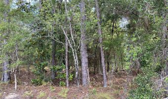 Putnam Avenue lot 30, Alford, FL 32420