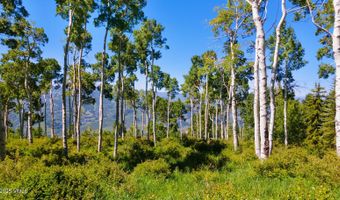 114 Goldenrod, Avon, CO 81620