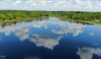 537 Mcpherson Dr, Alford, FL 32420
