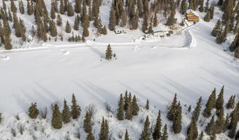 19948 W Glenn Hwy, Chickaloon, AK 99674
