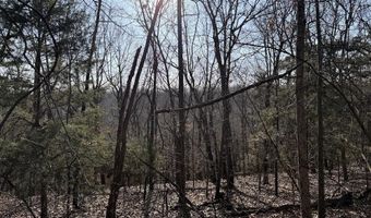 Pecks Drive N, Bergman, AR 72615