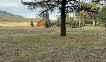 18 County Rd 2063, Alpine, AZ 85920