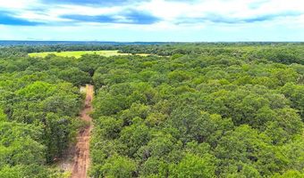 Tbd Dude Lane, Millsap, TX 76066