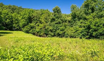 TBD ROCKFISH ORCHARD DR, Afton, VA 22920