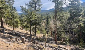 399 N Skinner Rd, Allenspark, CO 80510