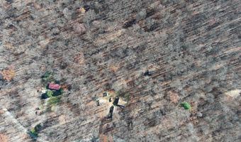 1060 BUFFALO RIDGE Rd, Augusta, WV 26704