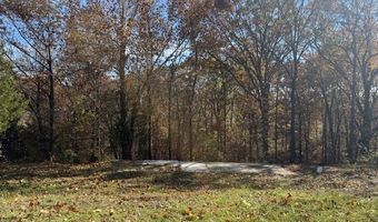 16200 Robin Road Lot 10-11, Bella Vista, AR 72715