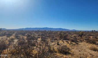 606 D S Billy The Kid Rd, Yucca, AZ 86438