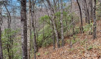 Lot 230 Catawba Falls Parkway 230, Black Mountain, NC 28711