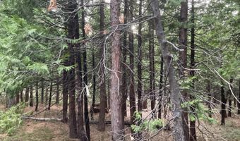 3471 Pocatello Cir, Arnold, CA 95223