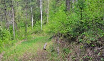 LOT 22 TRAIL RIDGE ROAD, Alpine, WY 83128