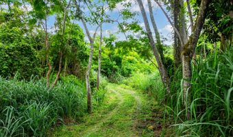 87-3476 MAMALAHOA Hwy, Captain Cook, HI 96704