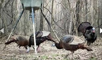 Gun Baoyu Road, Belzoni, MS 39038