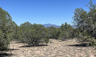 202 Cooks Trl, Ash Fork, AZ 86320