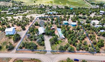 144 Pinon Hills Cir, Arboles, CO 81122