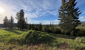 NHN Renegade Road, Anaconda, MT 59711