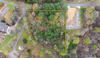 Branch Loop Rd, Big Sandy, TN 38221