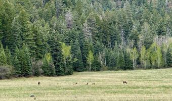 15098 CR 240, Bayfield, CO 81122