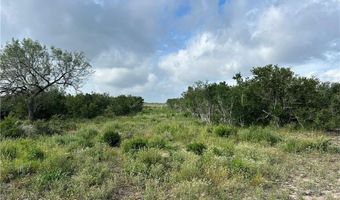 0000 County Road 173, San Diego, TX 78332