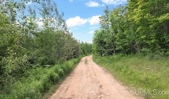 1188 NW S Ross Wells Rd, Arnold, MI 49819