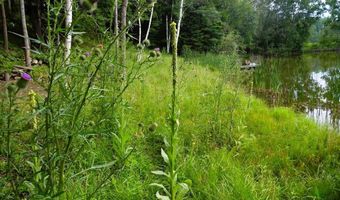 S Forest Lake, Alger, MI 48610