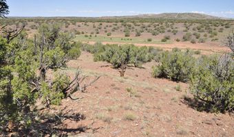 19 N8483, Concho, AZ 85924
