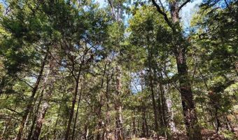 0 CR 320, Big Creek, MS 38914