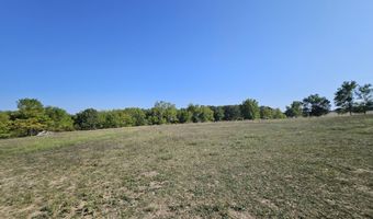 16427 Farm Road 2007, Aurora, MO 65605