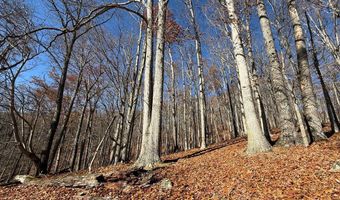 Nebo Mountain Rd. lot Multiple, Atkins, VA 24311