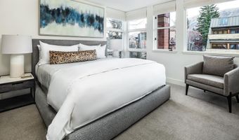 704 E Hyman Ave, Aspen, CO 81611