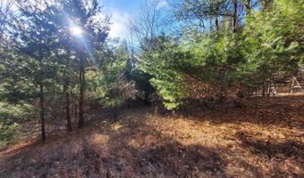 1091 Plum Valley Rd NW, Alden, MI 49612