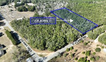 C J Laird Rd lot 3, Argyle, FL 32422