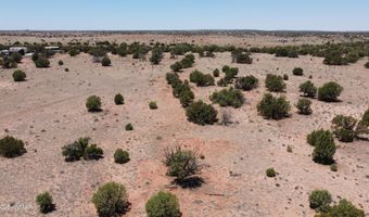 Tbd Rio Ranch, Concho, AZ 85924