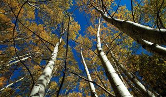 1 The Ranch At Angel Fire, Angel Fire, NM 87710