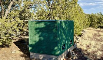 37 Co Rd N8174 10.1 Acres, Concho, AZ 85924