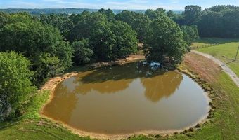 415203 Cornelius Rd, Antlers, OK 74523